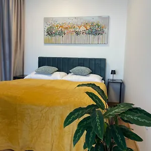 Apartmán H52, Brno